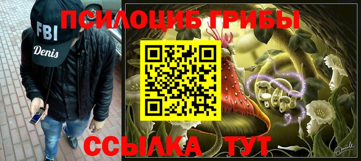 Галлюциногенные грибы Psilocybe Кострома