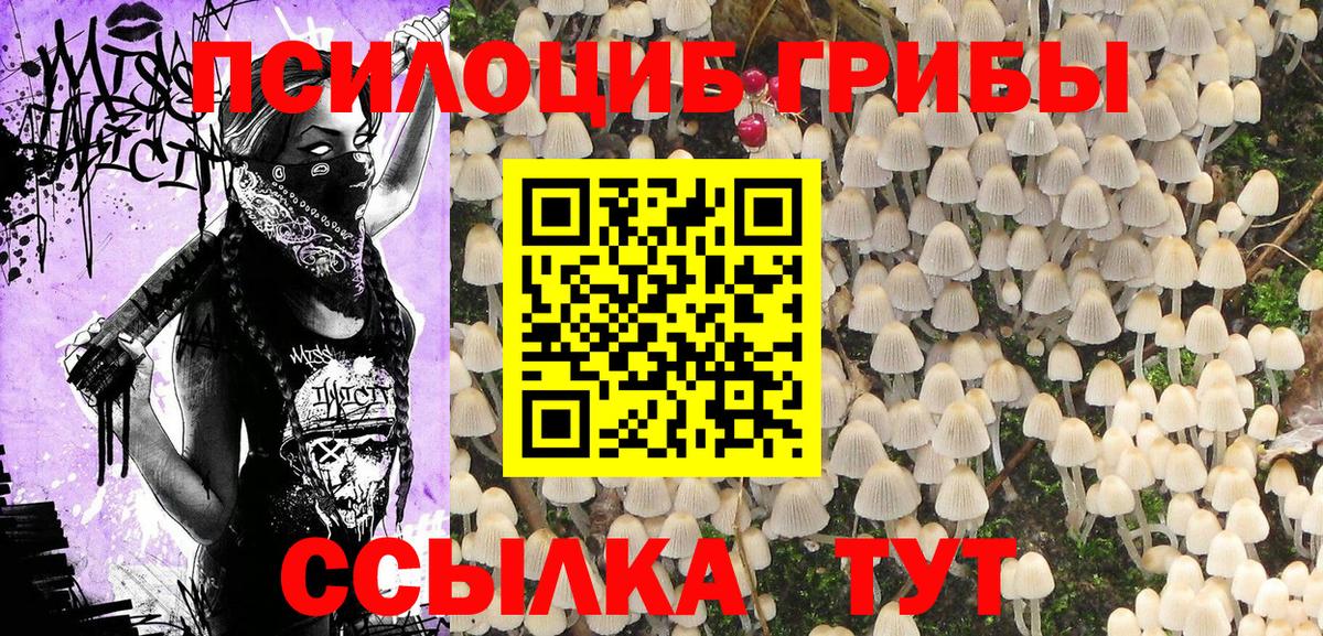 Галлюциногенные грибы мицелий  Вход с VPN  Кострома  купить наркоту  Псилоцибиновые грибы GOLDEN TEACHER 